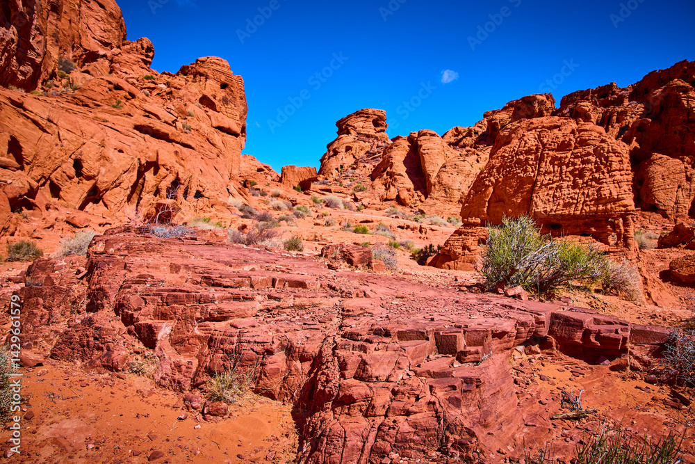 Fototapeta premium Red Sandstone Formations and Desert Shrubs under Blue Sky Moapa Valley