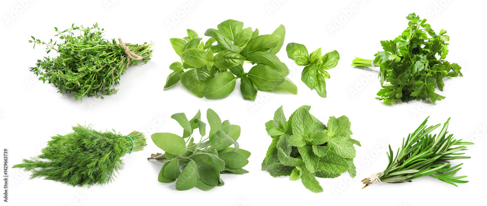 Obraz premium Different aromatic herbs on white background, collage