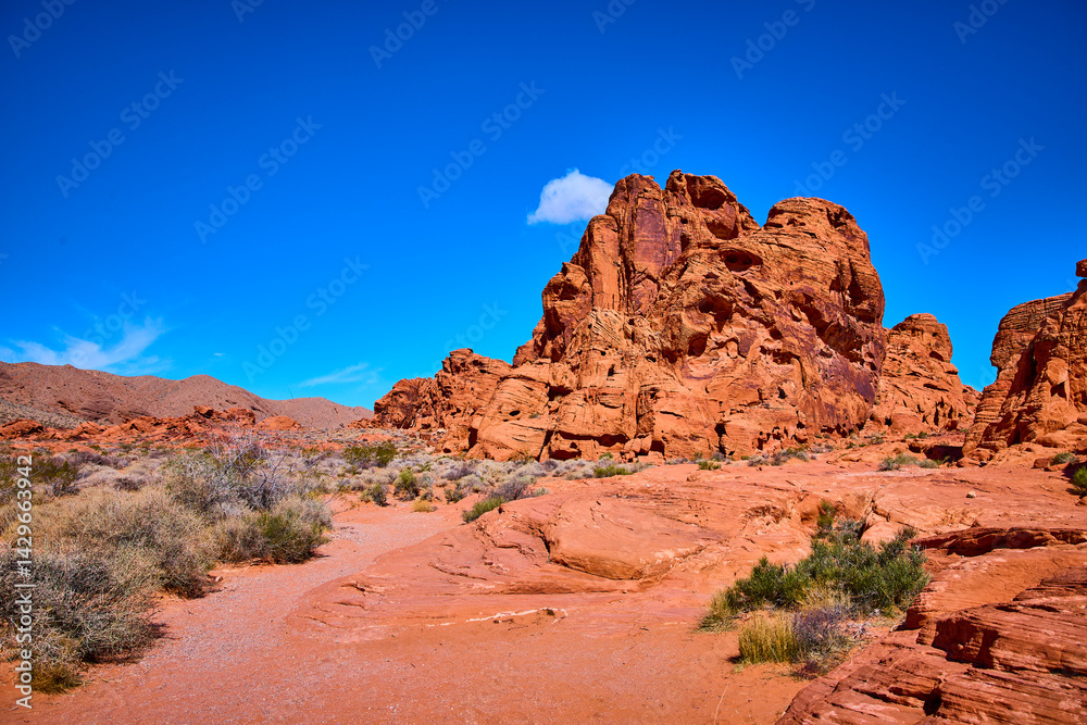 Fototapeta premium Red Rock Formations in Moapa Valley Desert Eye-Level View