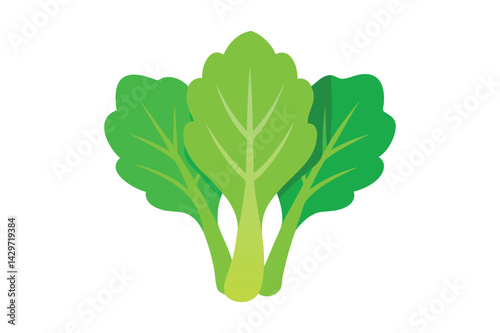 Fresh Mustard Greens Vegetable vector
