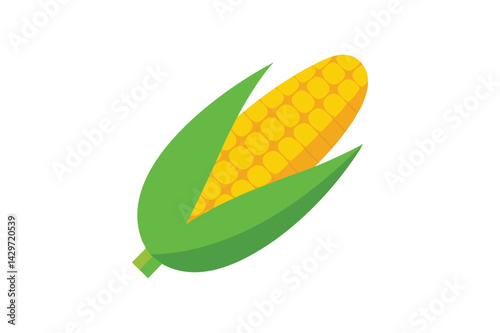 Fresh Sweet Corn Vegetable vector on white background