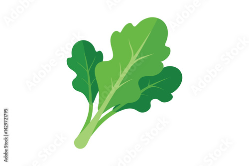 Fresh Arugula Vegetable vector on white background