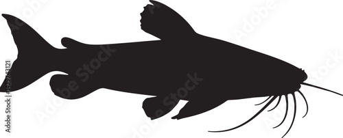 Damboa Catfish Silhouette on White Background
