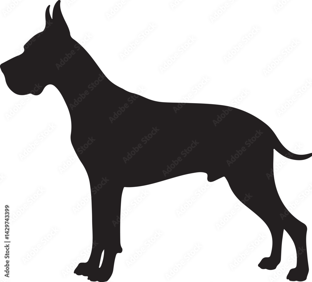 Great Dane Silhouette on White Background Great Dane Silhouette on White Background