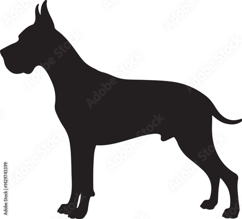 Great Dane Silhouette on White Background