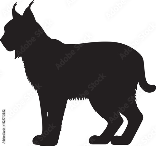 Iberian Lynx Silhouette on White Background