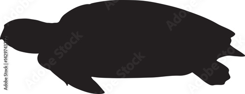 Kemp’s Ridley Sea Turtle Silhouette on White Background