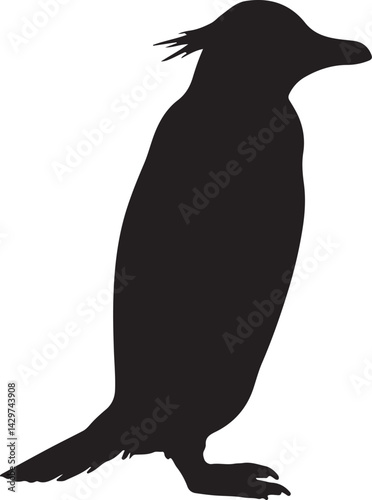 Macaroni Penguin Silhouette on White Background
