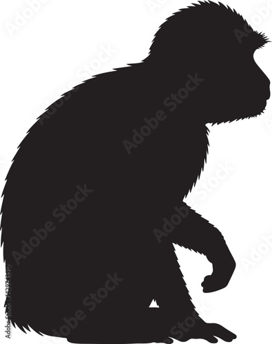 Macaque Silhouette on White Background