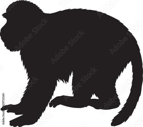 De Brazza's Monkey Vector Silhouette