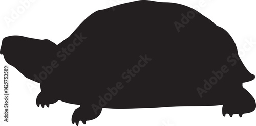 Eastern Box Turtle Vector Silhouette