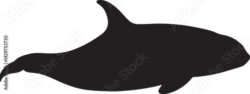 False Killer Whale Vector Silhouette