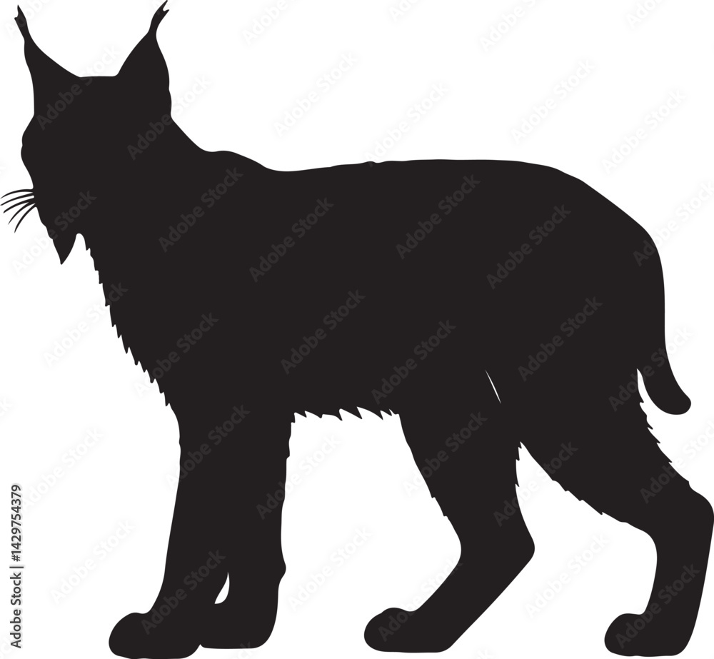 Obraz premium Iberian Lynx Silhouette