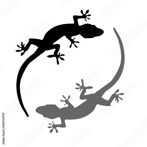 lizard pictures, black and white