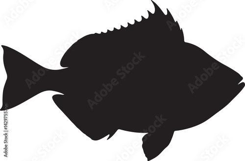 Nalolo Silhouette