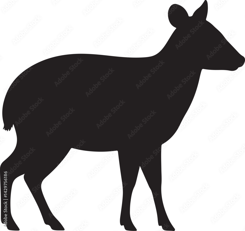 Obraz premium Pudu Silhouette