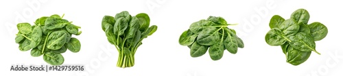 Set of bunches of vibrant green spinach leaves, isolated on transparent background