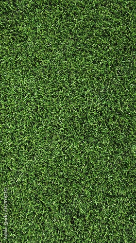 Lush Green Grass Texture Background Image