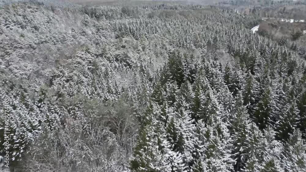 Flying over a large pine forest just after a heavy snowfall - Survol d'une grande forêt de pins juste après de grande chute de neige