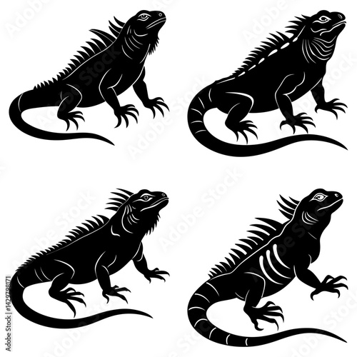 Iguana Silhouette  vector