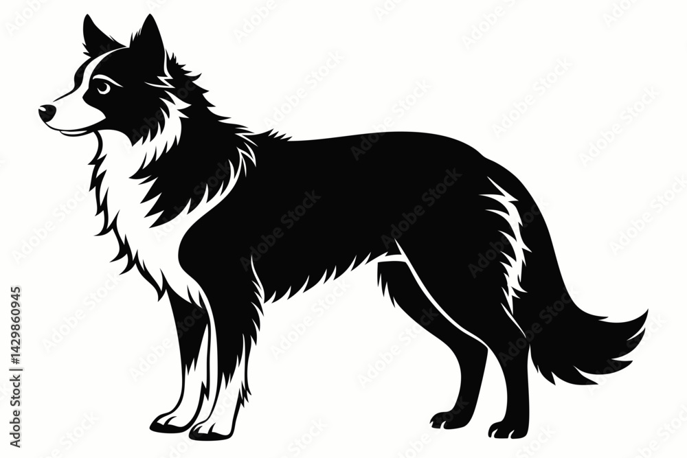 Fototapeta premium border collie sihouette black vector