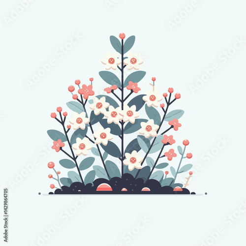 flower, nature, plant, pink, bloom, waxflower, floral, chamelaucium, blossom, green, wax, beautiful, background, white, natural, decoration, bunch, spring, summer, branch, bouquet, closeup, beauty, de