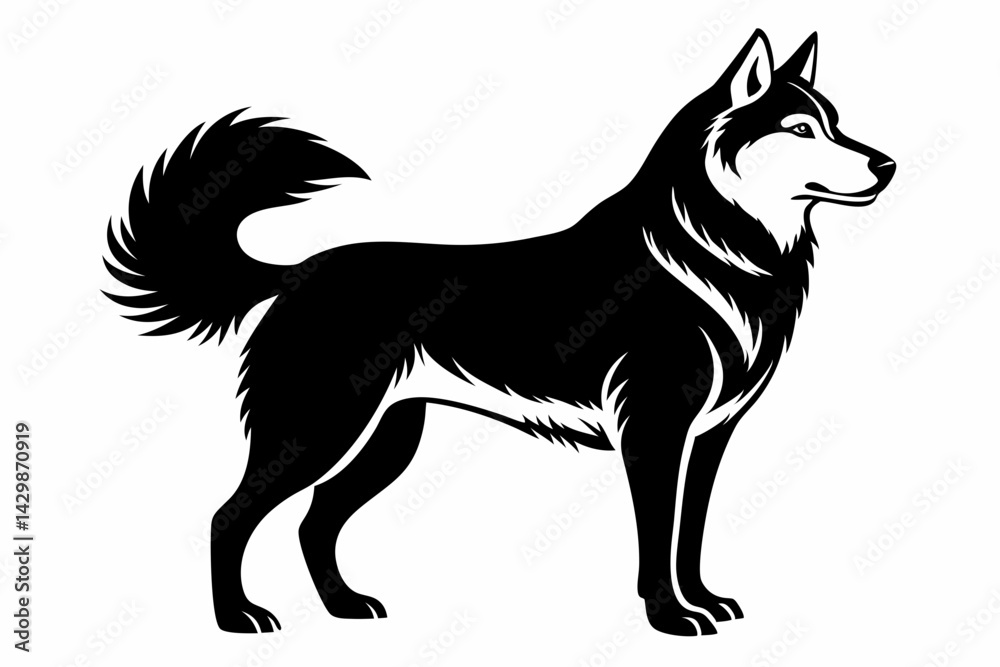 Fototapeta premium siberian husky sihouette black vector