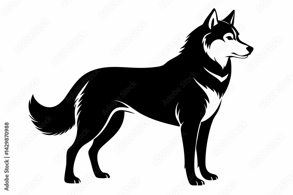 Fototapeta premium siberian husky sihouette black vector