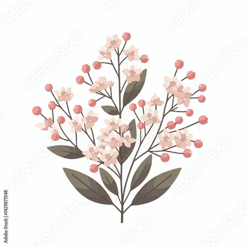 flower, nature, plant, pink, bloom, waxflower, floral, chamelaucium, blossom, green, wax, beautiful, background, white, natural, decoration, bunch, spring, summer, branch, bouquet, closeup, beauty, de