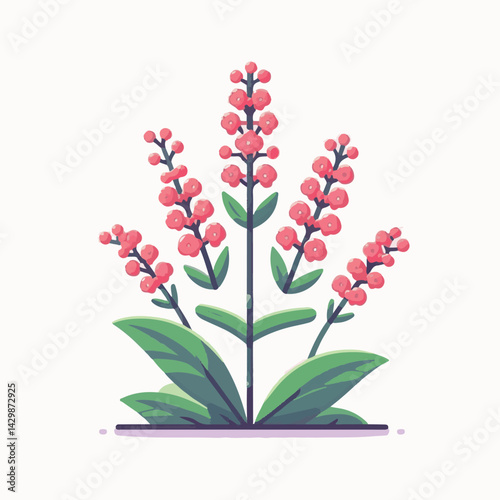 flower, nature, plant, pink, bloom, waxflower, floral, chamelaucium, blossom, green, wax, beautiful, background, white, natural, decoration, bunch, spring, summer, branch, bouquet, closeup, beauty, de