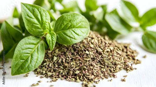 Fresh and dried basil leaves on white background