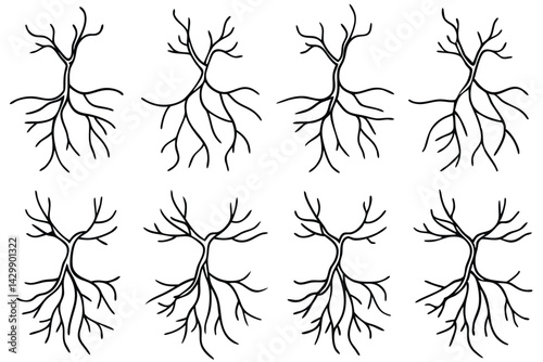 Arteries Network System Line Art