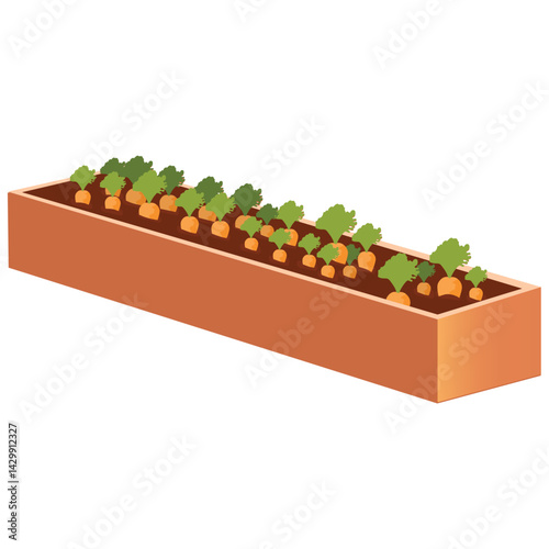 Raised vegetable garden bed.
