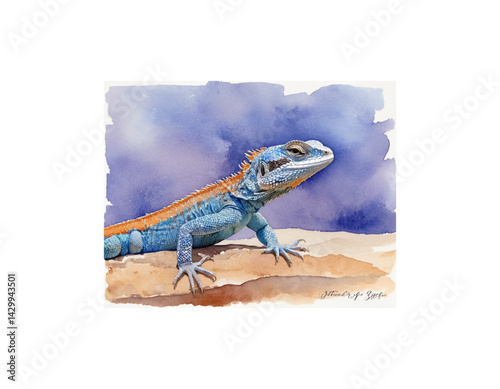 Agama Lizard watercolor painting vector image
