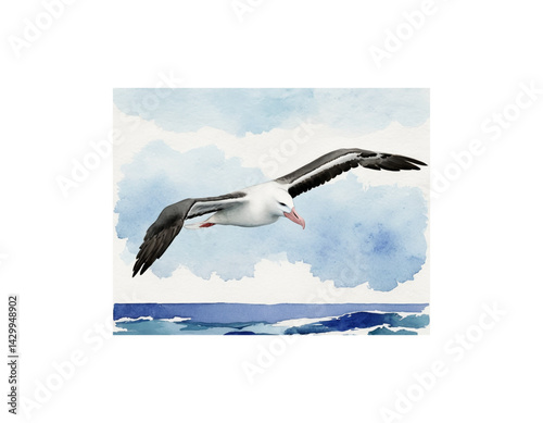 Albatross watercolor painting vector image
