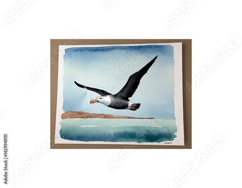 Albatross watercolor painting vector image
