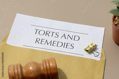 Courtroom Preparation: Tort and Remedies File and Gavel on Desk