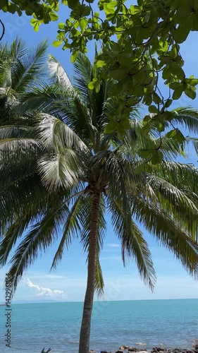 Silhouetted palm leaves against a bright tropical sky, sun rays peeking through