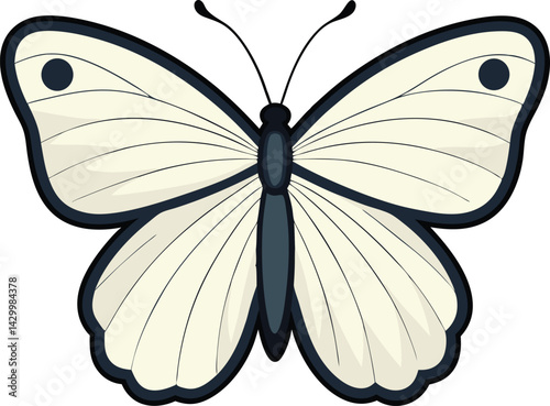 butterfly on white background
