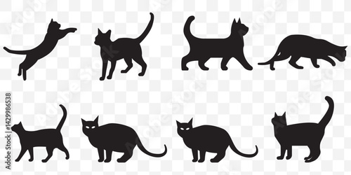 cat vector silhouettes. Exotic shorthair cat silhouette vector template illustration on Transparent Background. EPS 10.