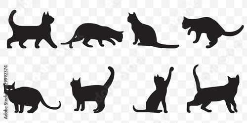 Cat collection - vector silhouette. vector isolated silhouette cat set on Transparent Background. EPS 10.
