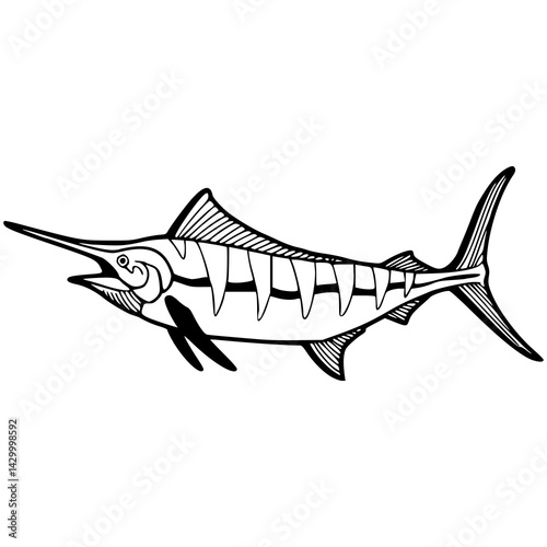 marlin fish graphic design