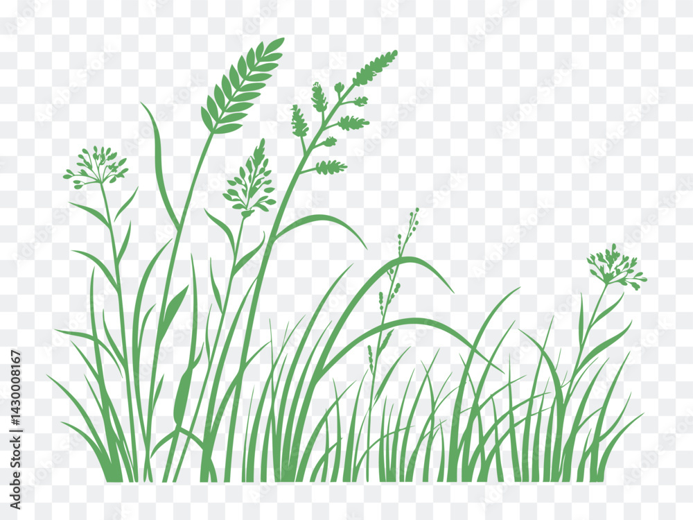 Vector green grass silhouette with wild meadow plants and field herbs in nature-inspired illustration, ideal for eco designs, spring themes, farm scenes, and environmental concept art.