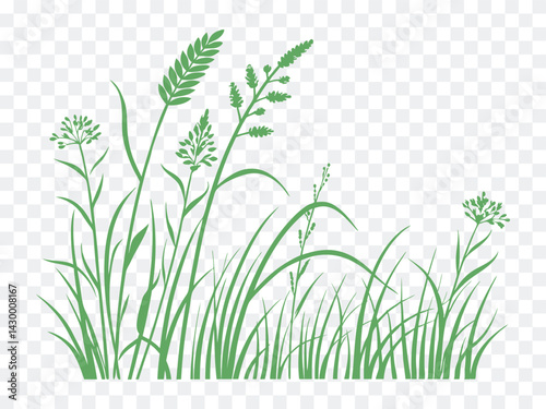 Obraz na płótnie Vector green grass silhouette with wild meadow plants and field herbs in nature-inspired illustration, ideal for eco designs, spring themes, farm scenes, and environmental concept art. w salonie
