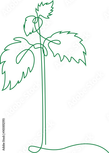 Nettle plant. Continuous one line drawing. Abstract hand drawn sprout by one line. Minimal botany natural eco concept vector illustration. Vector Medicinal plants. Common nettle.