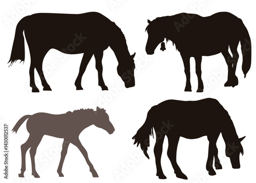 Dark silhouettes of various domestic animals. Horse, foal