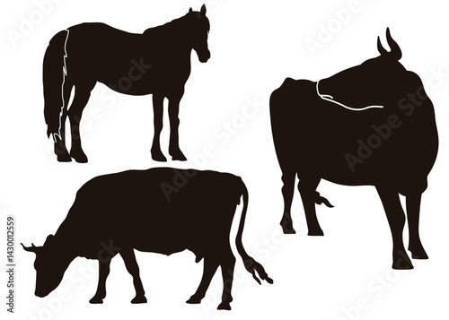 Dark silhouettes of various domestic animals. Cows, horse.