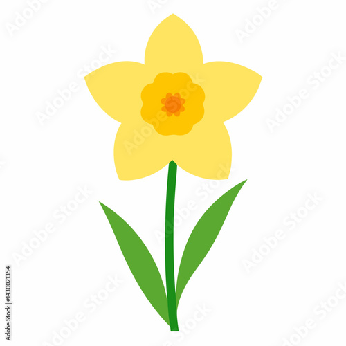 yellow daffodil flower