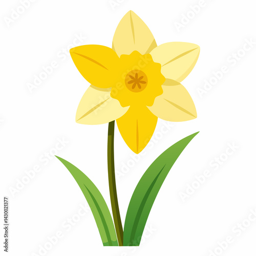 yellow daffodil flower