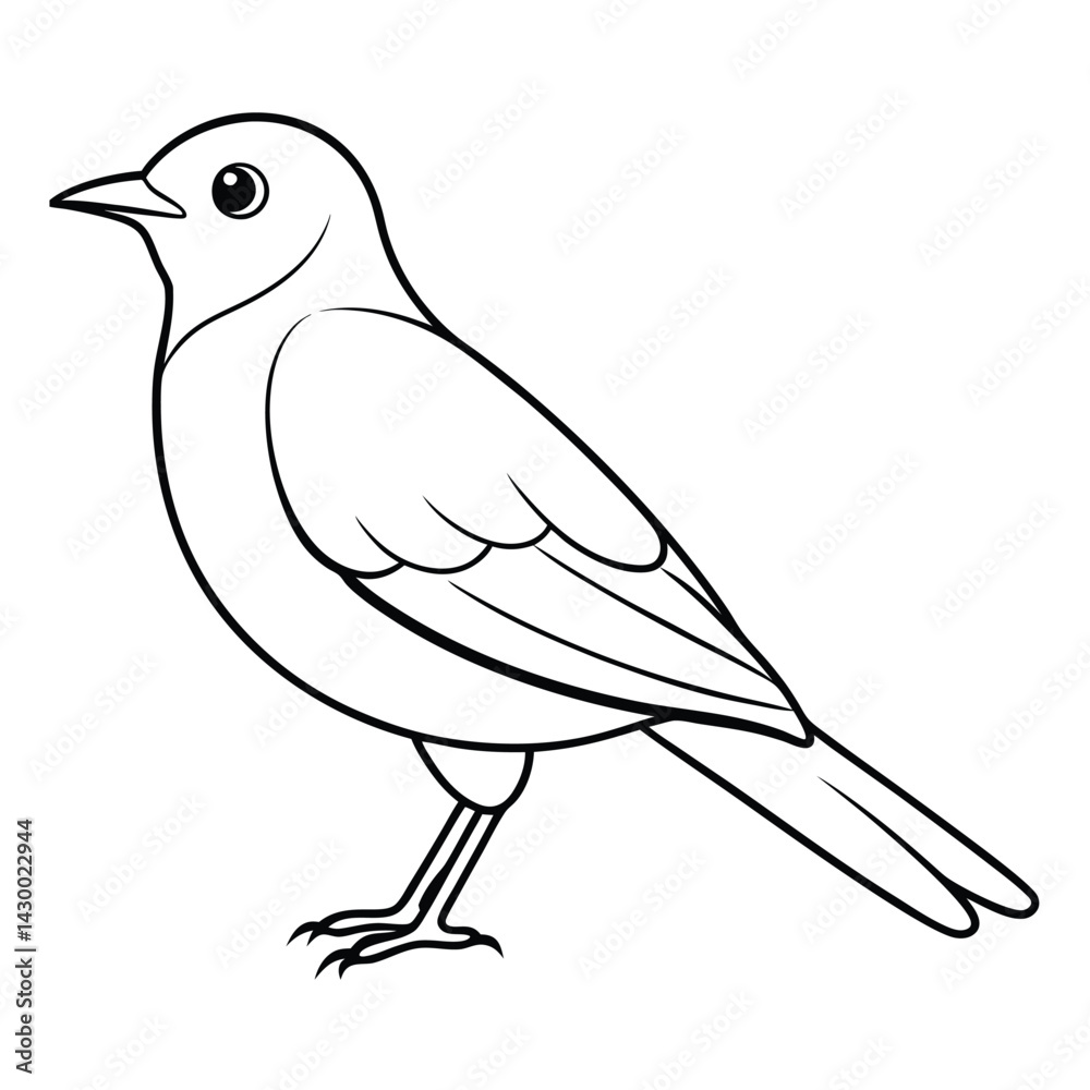 Fototapeta premium Hand Drawn Bird Vector Illustration Isolated on White